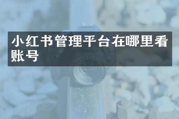 小红书管理平台在哪里看账号