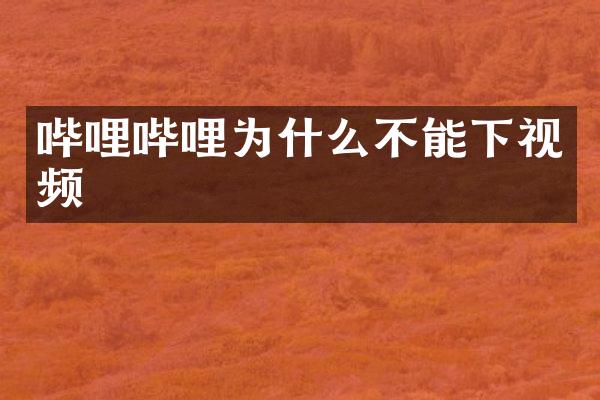 哔哩哔哩为什么不能下视频