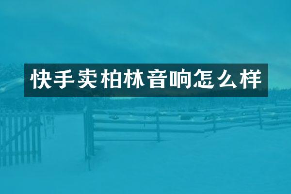 快手卖柏林音响怎么样