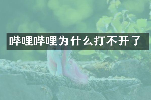 哔哩哔哩为什么打不开了