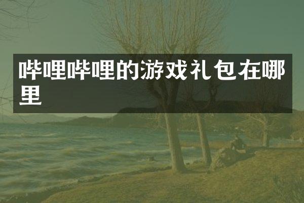 哔哩哔哩的游戏礼包在哪里