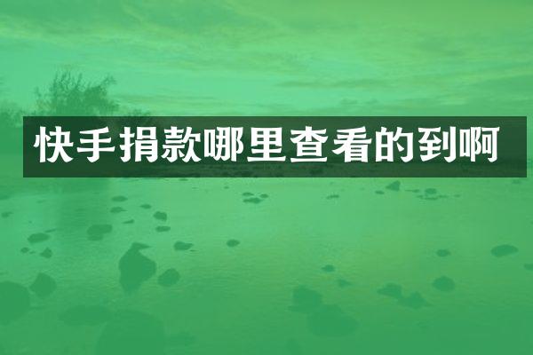 快手捐款哪里查看的到啊