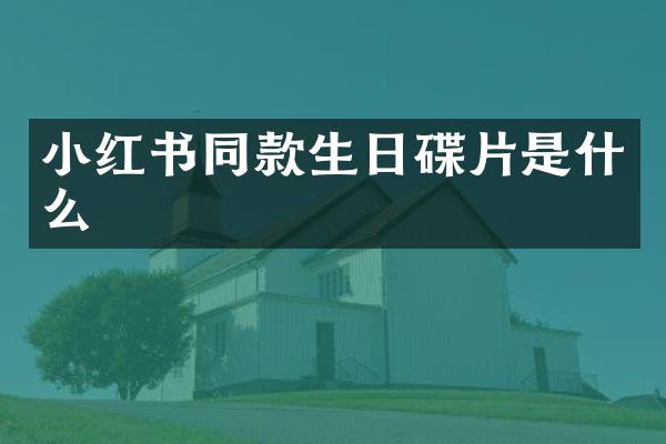 小红书同款生日碟片是什么