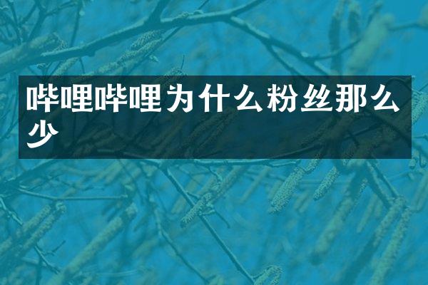 哔哩哔哩为什么粉丝那么少