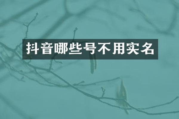 抖音哪些号不用实名