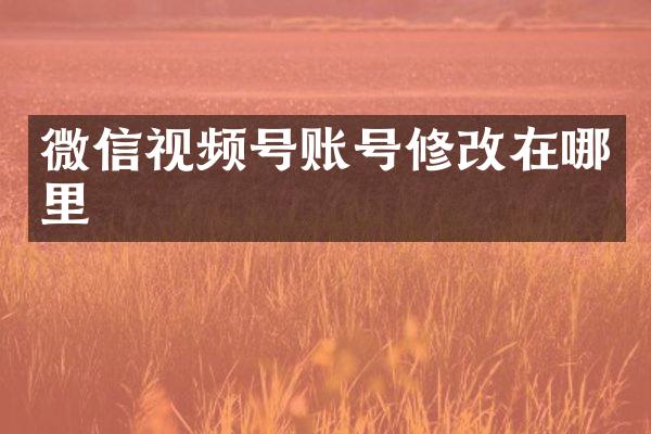 微信视频号账号修改在哪里