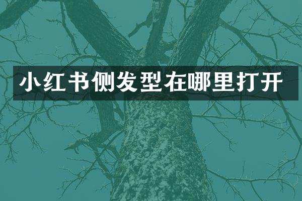 小红书侧发型在哪里打开