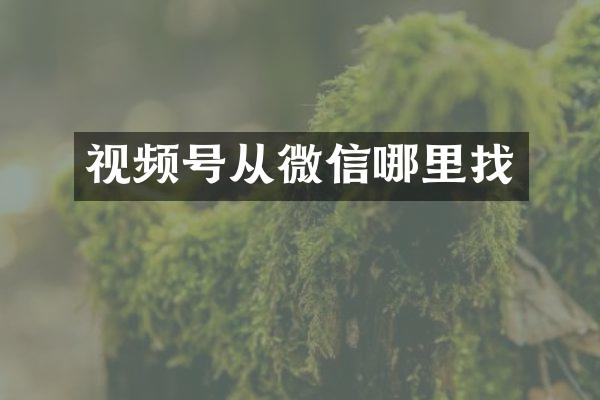 视频号从微信哪里找