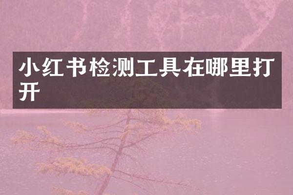 小红书检测工具在哪里打开