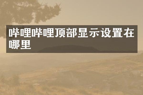 哔哩哔哩顶部显示设置在哪里