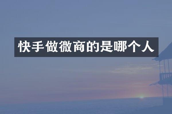 快手做的是哪个人