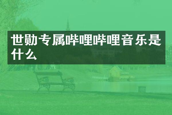 世勋专属哔哩哔哩音乐是什么