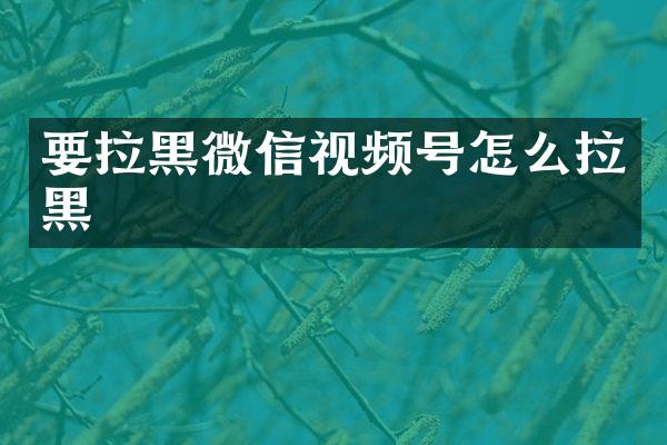 要拉黑微信视频号怎么拉黑