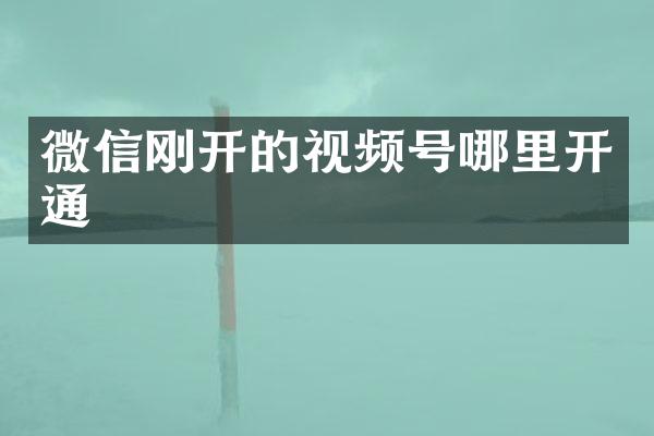 微信刚开的视频号哪里开通