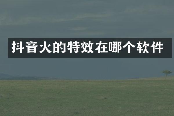抖音火的特效在哪个软件