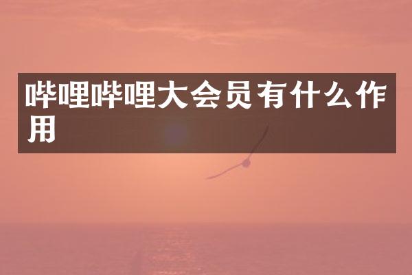 哔哩哔哩大会员有什么作用