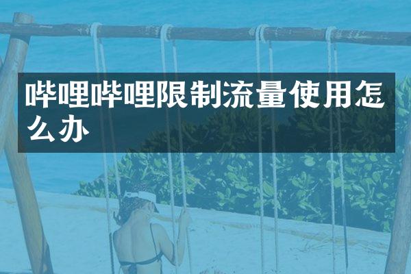 哔哩哔哩限制流量使用怎么办