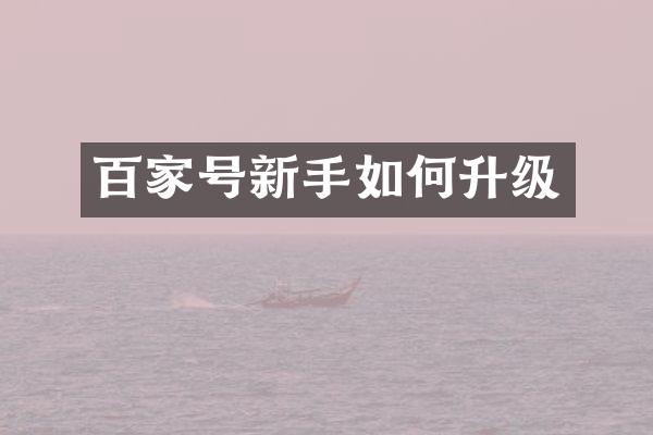 百家号新手如何升级