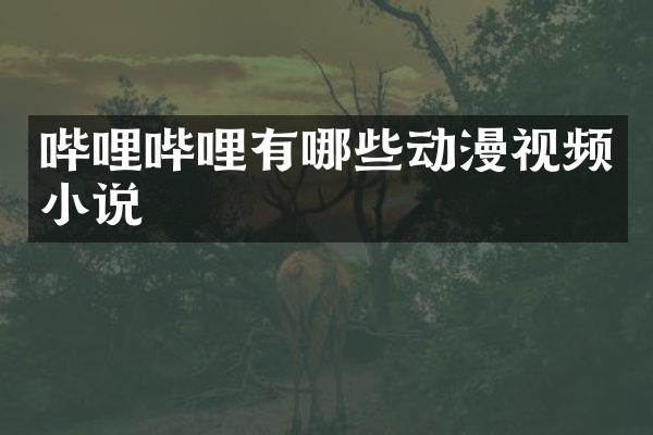 哔哩哔哩有哪些动漫视频小说