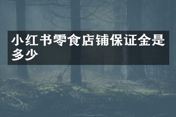 小红书零食店铺保证金是多少