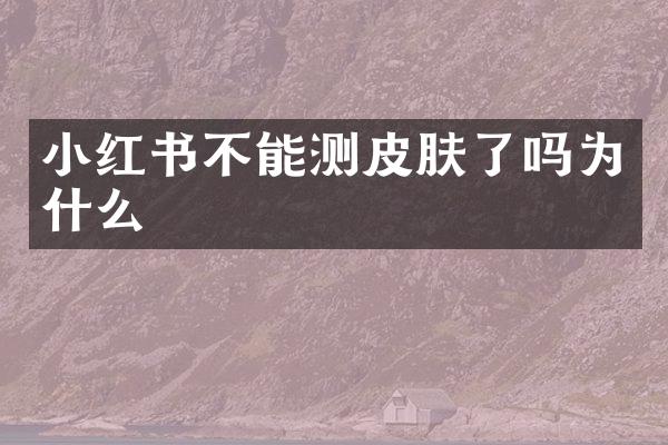 小红书不能测皮肤了吗为什么