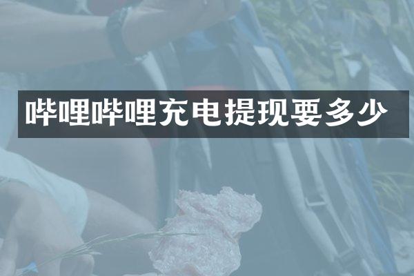 哔哩哔哩充电提现要多少