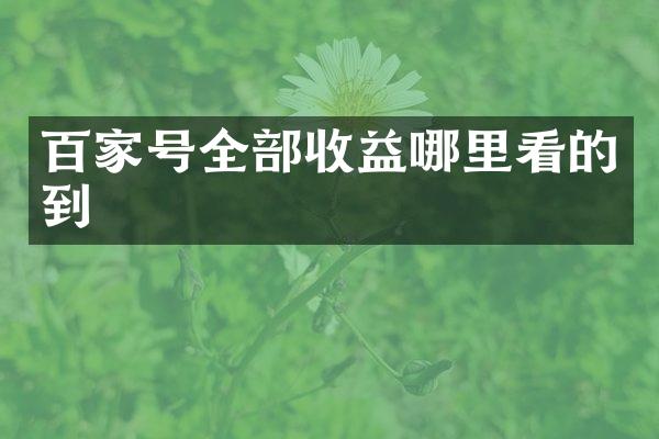 百家号全部收益哪里看的到