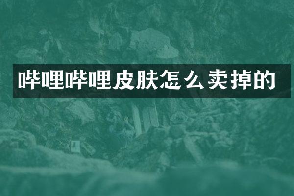 哔哩哔哩皮肤怎么卖掉的