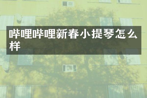 哔哩哔哩新春小提琴怎么样