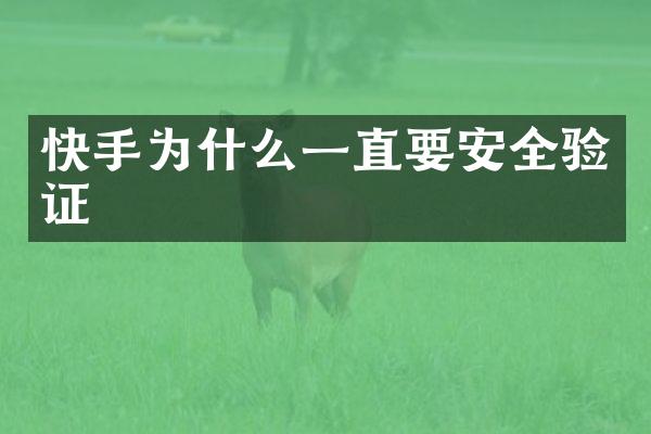 快手为什么一直要安全验证