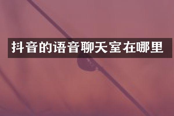 抖音的语音聊天室在哪里