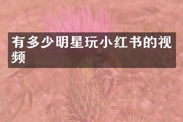有多少明星玩小红书的视频