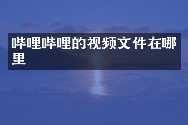 哔哩哔哩的视频文件在哪里