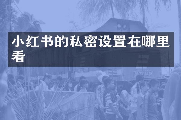小红书的私密设置在哪里看