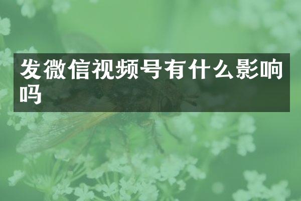 发微信视频号有什么影响吗