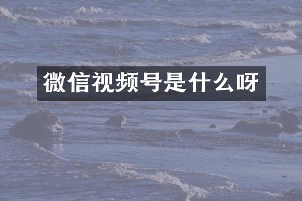 微信视频号是什么呀