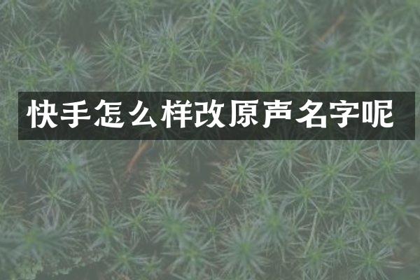 快手怎么样改原声名字呢