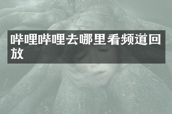 哔哩哔哩去哪里看频道回放