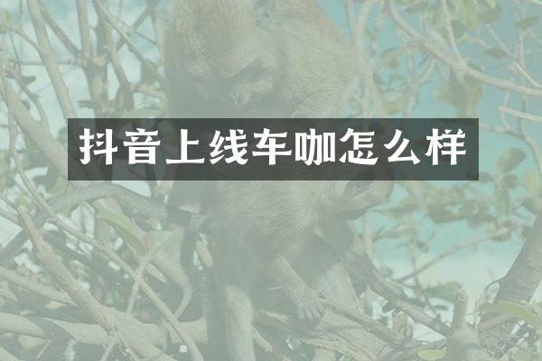 抖音上线车咖怎么样