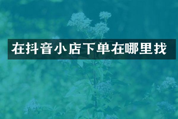 在抖音小店下单在哪里找