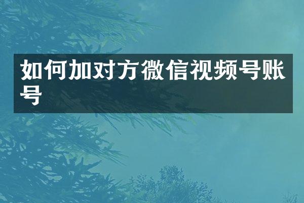 如何加对方微信视频号账号