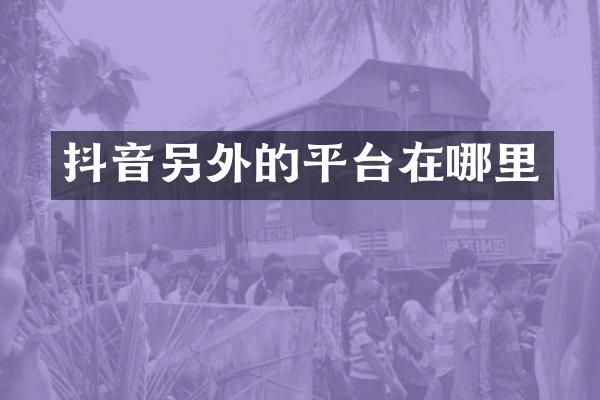 抖音另外的平台在哪里