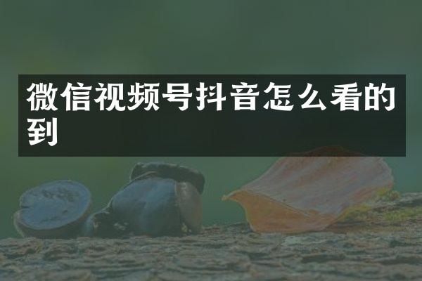 微信视频号抖音怎么看的到