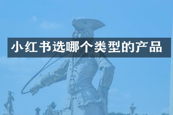 小红书选哪个类型的产品
