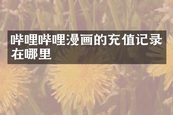 哔哩哔哩漫画的充值记录在哪里