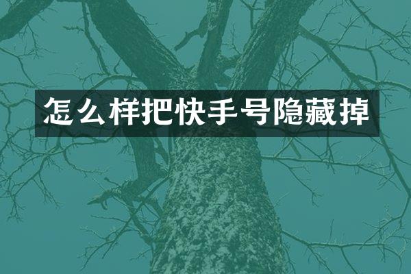 怎么样把快手号隐藏掉
