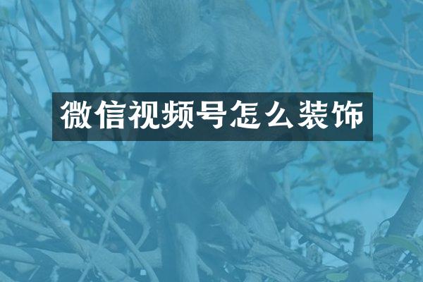 微信视频号怎么装饰