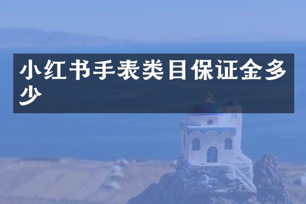 小红书手表类目保证金多少