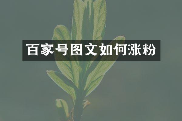 百家号图文如何涨粉