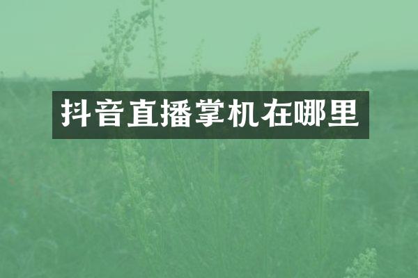 抖音直播掌机在哪里